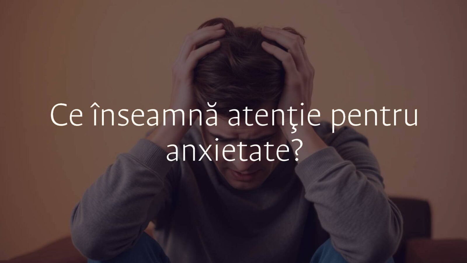 A person sitting in a quiet room, hands on their head, showing stress and anxiety, soft blurred background, warm lighting, realistic.