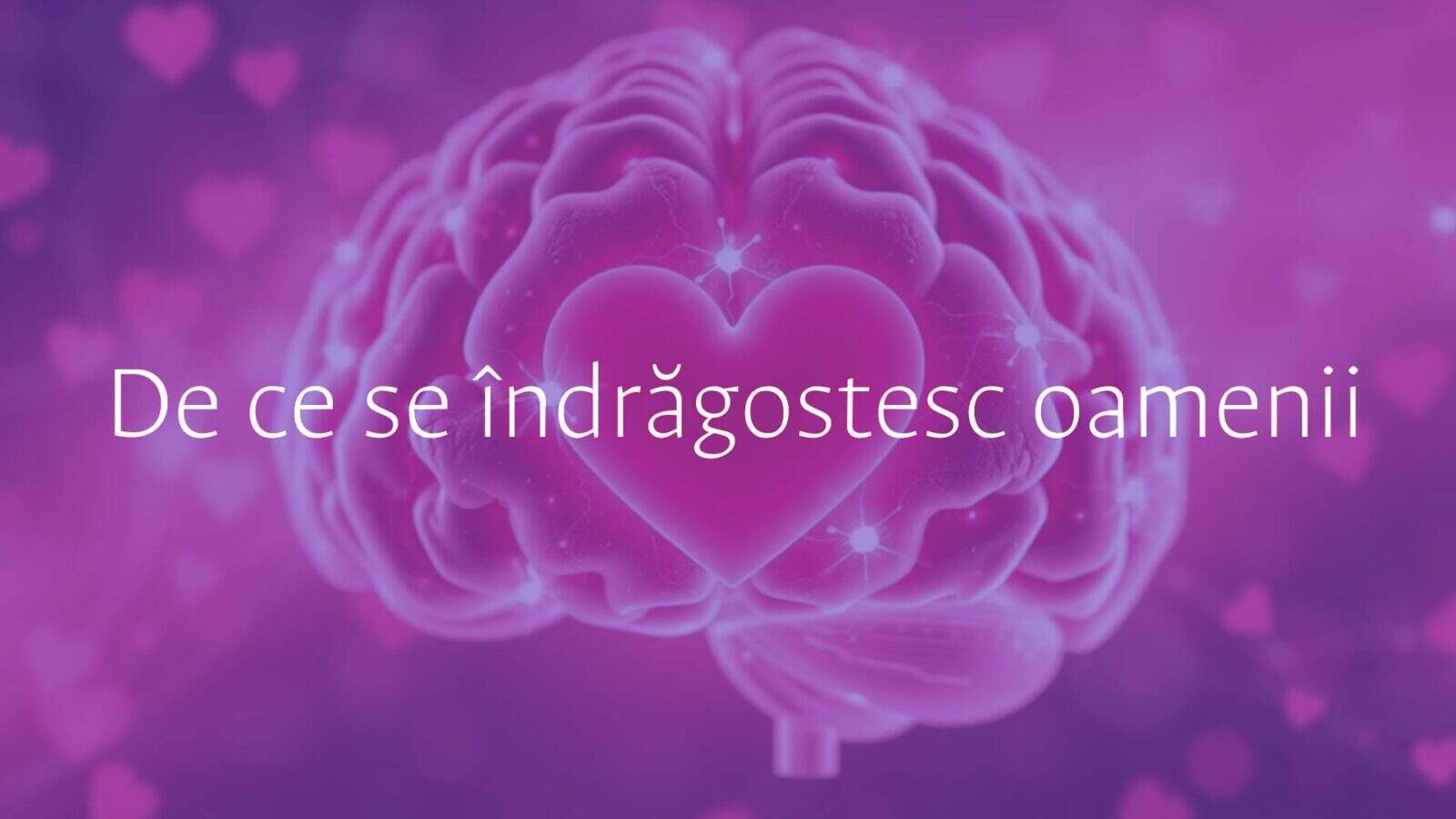 A glowing human brain with heart-shaped neurons firing, surrounded by soft pink and red hues, abstract representation of love, scientific and romantic mood, digital art style.